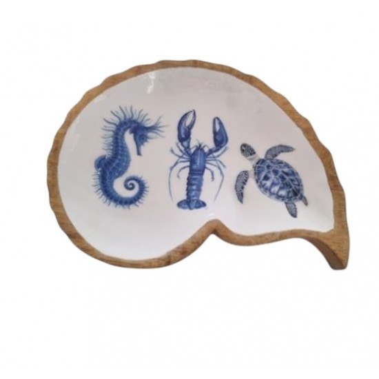 Peça madeira fauna marinha caracol 22*17*5cm 24f509C