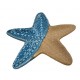 Louça do mar estrela do mar 15*2cm 3154002