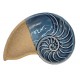 Louça de mar caracol 13*9cm 
