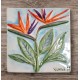 Azulejo c\relevo 15*15 estrelícia 