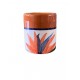 Copos mini para licor 6,5X6CM - CPML