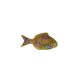 Peixe pequeno de loiça 16,5x8cm - LMPPNAZ